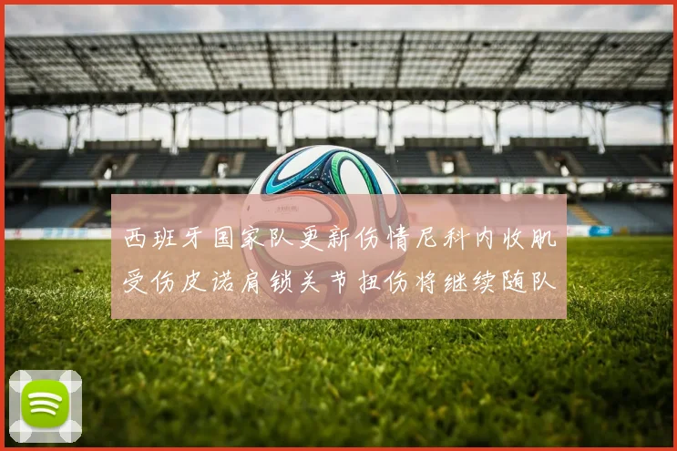 西班牙国家队更新伤情尼科内收肌受伤皮诺肩锁关节扭伤将继续随队训练