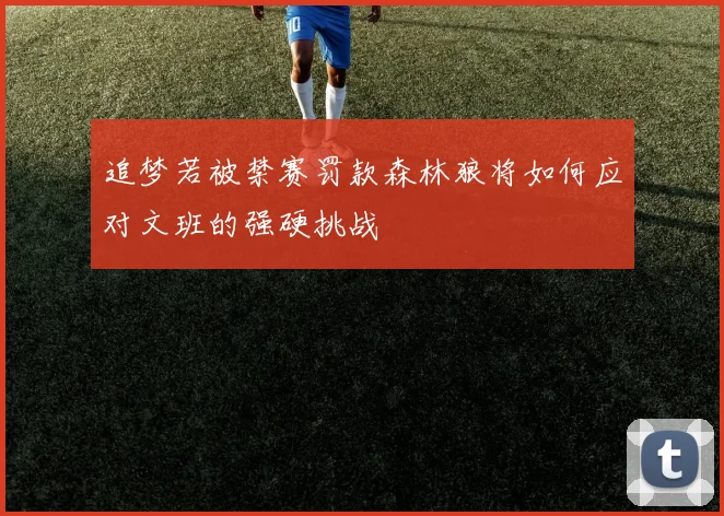 追梦若被禁赛罚款森林狼将如何应对文班的强硬挑战